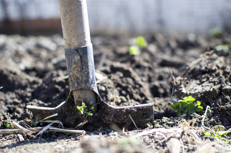 jardinerie-LES SALLES SUR VERDON-min_equipment-2047314